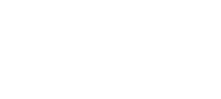 Romero & Sons